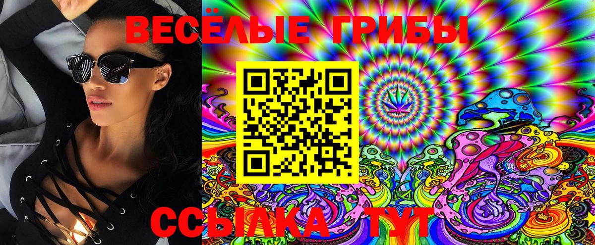 Псилоцибиновые грибы Cubensis  закладка  Ревда  Вход с VPN 